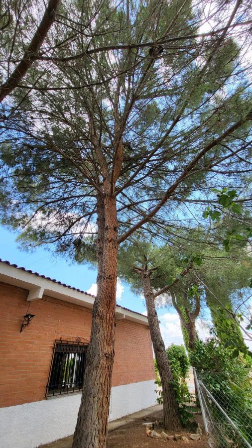 Hostal San Martín de Montalbán Exterior foto